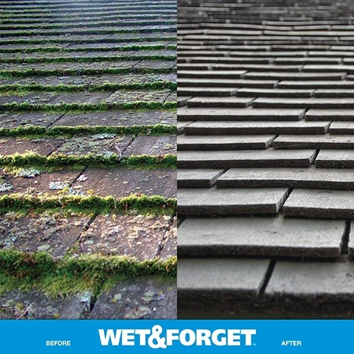 Wet & Forget 805048 Moss, Mold, Mildew and Algae Stain Remover Hose End β 48 oz - Image 4