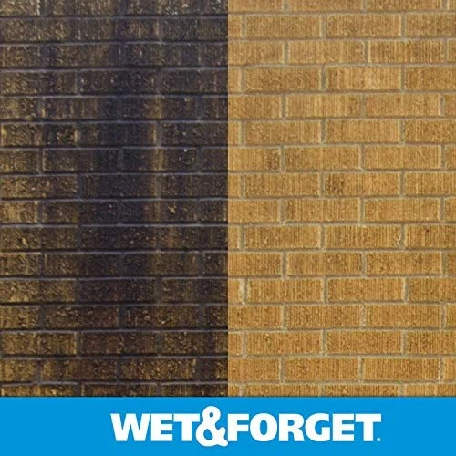 Wet & Forget 805048 Moss, Mold, Mildew and Algae Stain Remover Hose End β 48 oz - Image 6